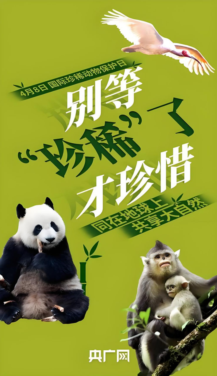 科幻冒险剧